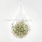 detail image1 Beautiful Air Plants Hanging Terrarium Set " Spanish Moss " Joinflower Joinfolia