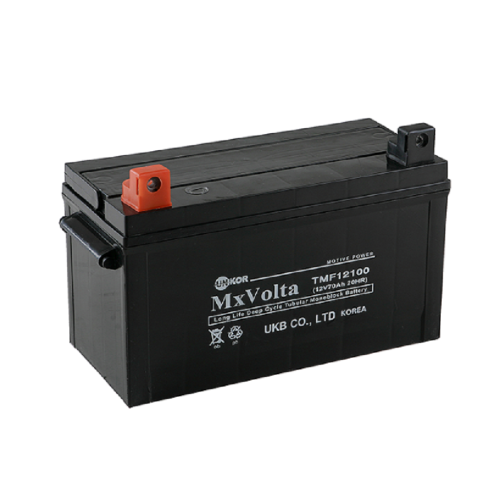 Tubular Maintenance Free battery